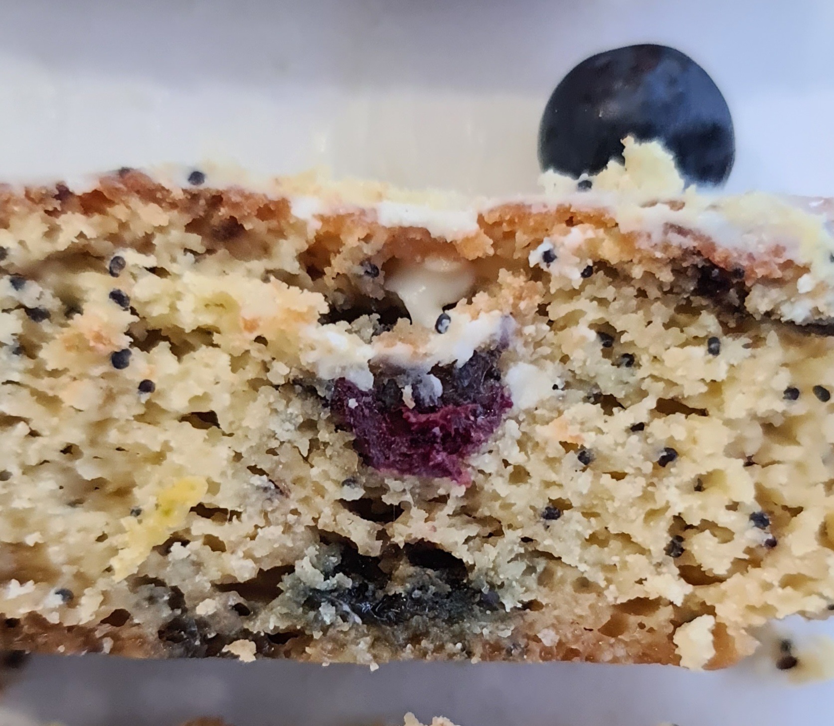 Blueberry Lemon Poppy Square - Image 2